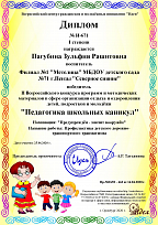 Диплом I степени II Всероссийского конкурса "Педагогика школьных программ""